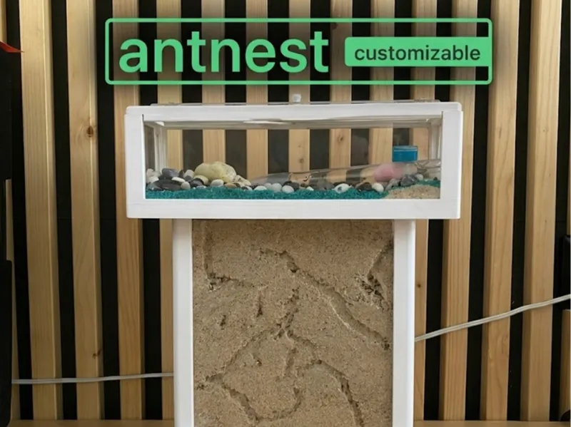 Customizable Sand Ant nest