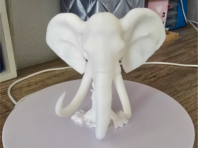 Skull Elephant