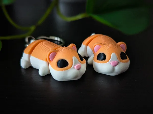 https://makerworld.bblmw.com/makerworld/model/USe5b0c894ed2f87/design/2025-07-31_bf0703e5bb7958.jpg