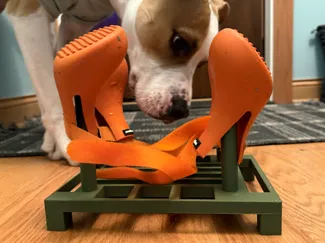 Dog Boot Dryer