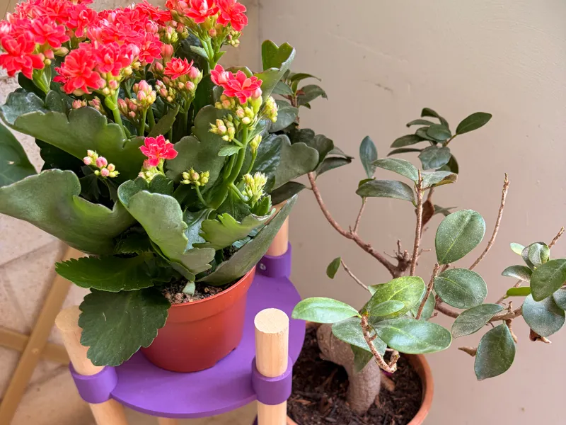 Modular Vase Riser - Plant Stand