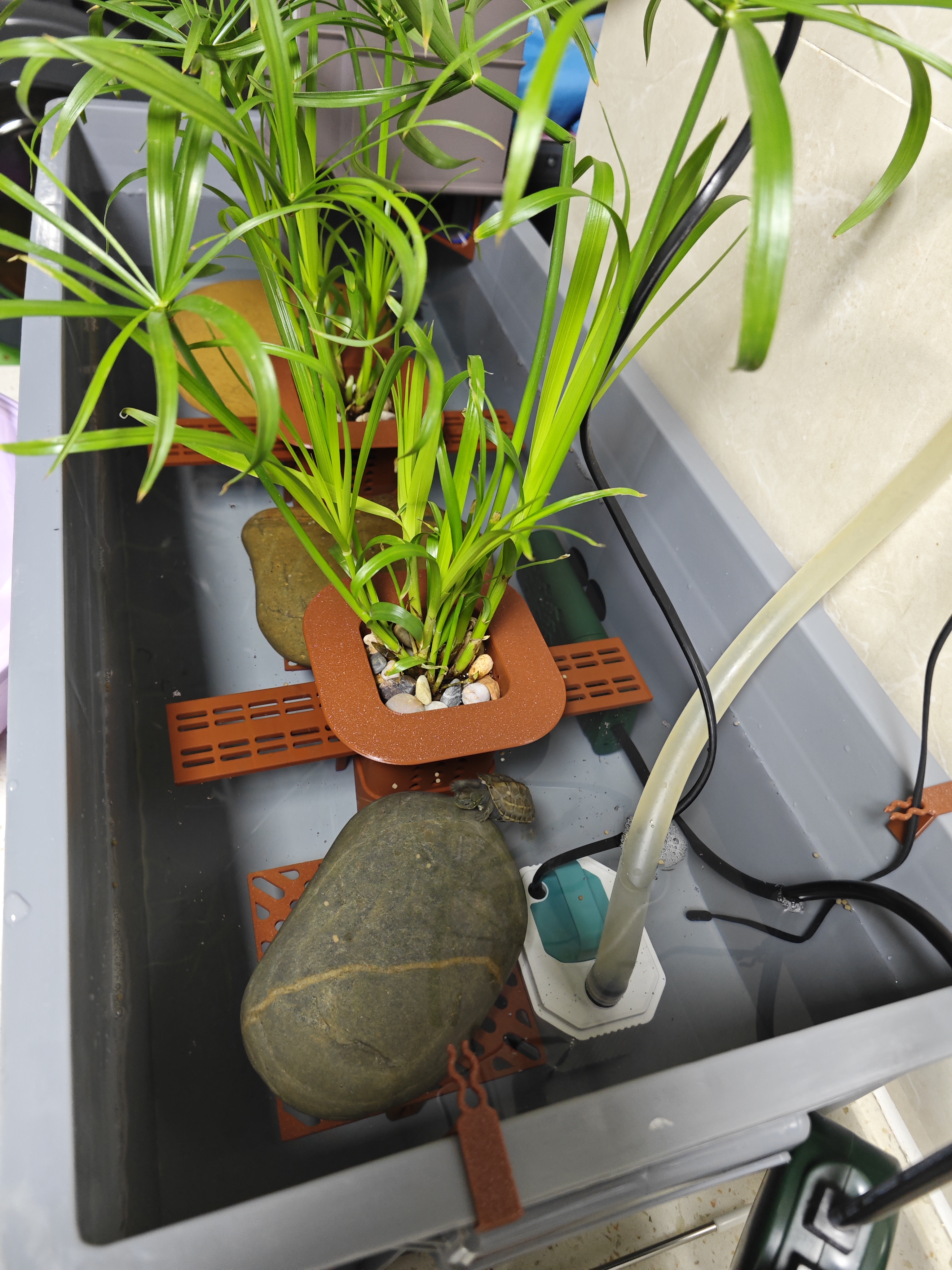 Miniatura 2 do modelo 3D 小缸过滤、定植篮、底滤板（周转箱、6mm玻璃、8mm可以用)