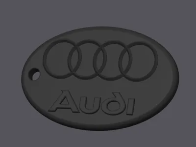 Audi Keychain