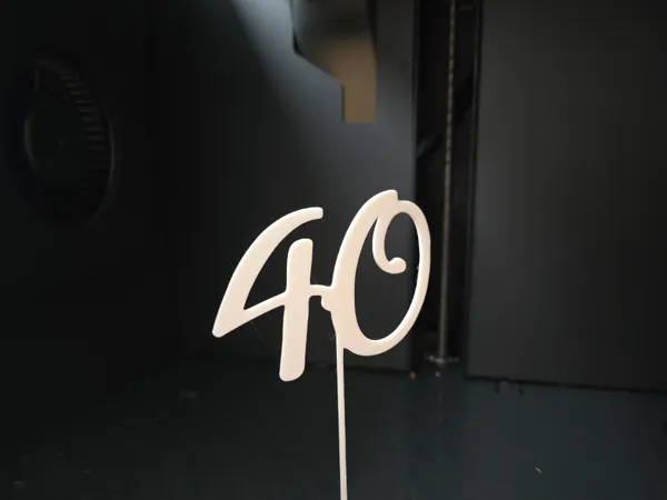 https://makerworld.bblmw.com/makerworld/model/USe5c071372d807c/design/2024-09-04_1279c990aba95.jpg