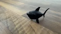 Petit requin décoratif — photo 2
