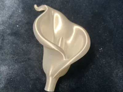 Calla Lily Flower