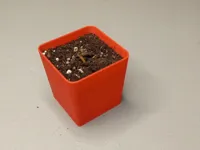 Godet de semis réutilisable et empilable — photo 1