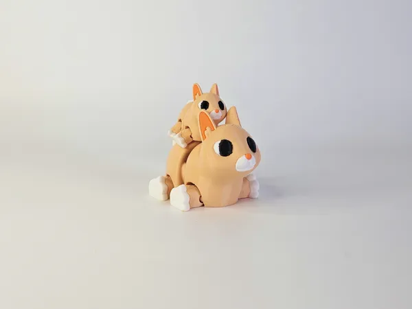 https://makerworld.bblmw.com/makerworld/model/USe5c284497d0158/design/2025-04-05_910038e284b91.jpg