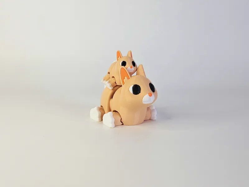 Bunny