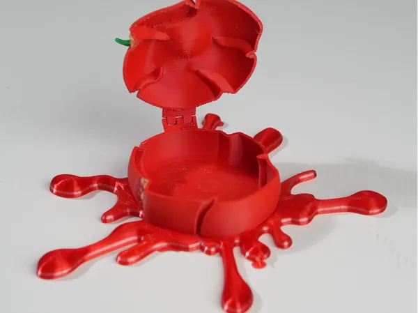 https://makerworld.bblmw.com/makerworld/model/USe5c48005f59820/design/2025-10-31_252b1de4b52b6.jpg