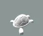 Baby Turtle