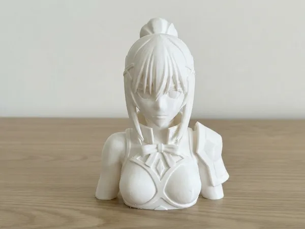 https://makerworld.bblmw.com/makerworld/model/USe5d705a8ba32b1/design/f612193dd0eb1290.jpeg