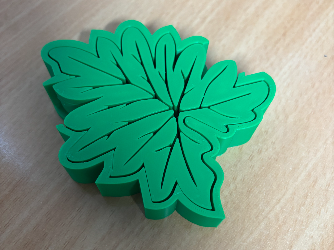 Leaf Coaster & Holder