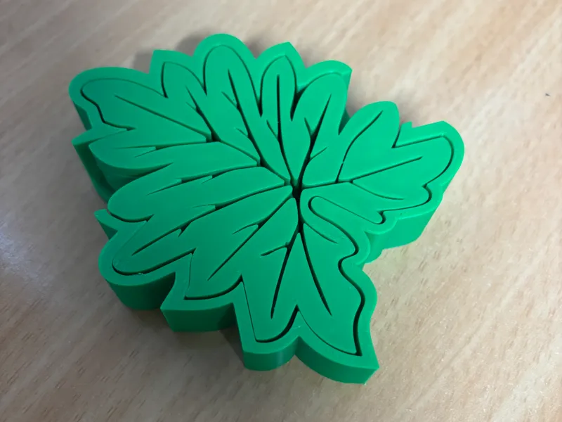 Leaf Coaster & Holder