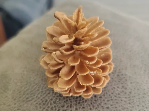 https://makerworld.bblmw.com/makerworld/model/USe5df033e266dbb/design/2025-03-04_4d75389b6e4b.jpg