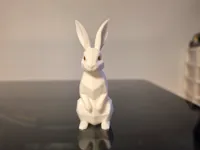 0.16mm layer, 2 walls, 5% infill