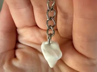 First upper molar keychain