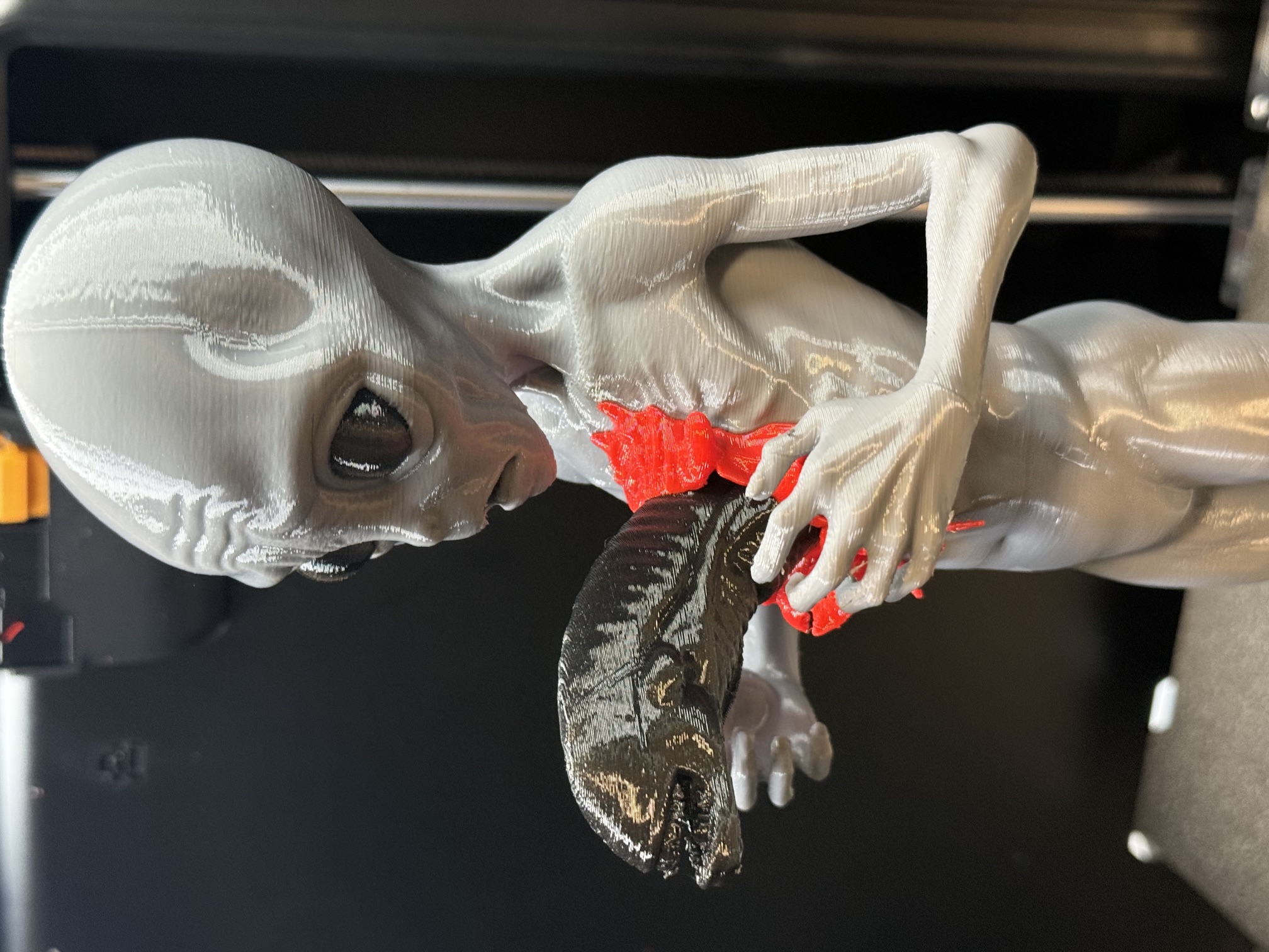 Foto 7