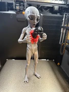 Modelo para impresión 3D: KrAAXIS Grey Vs Alien — vista de referencia 5