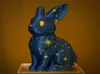 Starry Rabbit