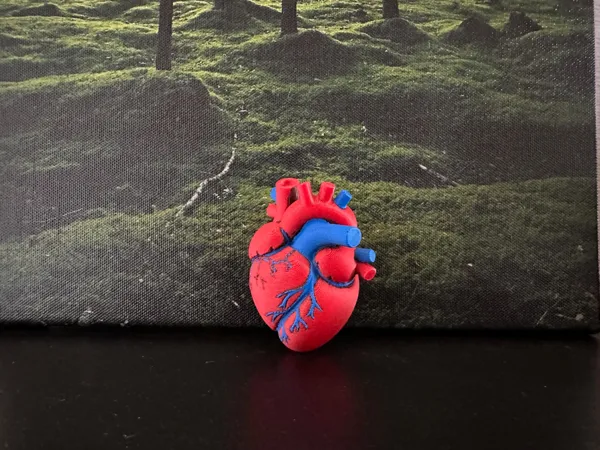 https://makerworld.bblmw.com/makerworld/model/USe5e7315b1d9e7e/design/2026-01-20_95135b87af6f98.jpg