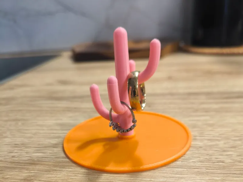 Cactus Ring Holder