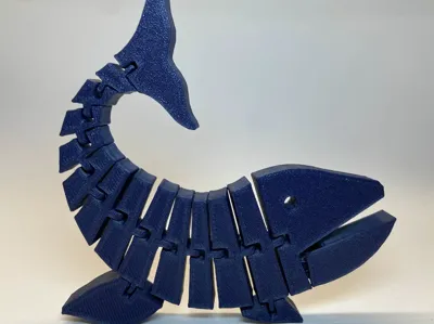 Flexi Whale