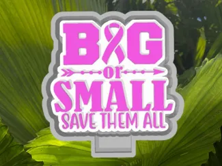 Breast Cancer Big or Small