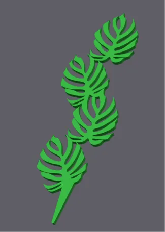 Monstera Plant Trellis