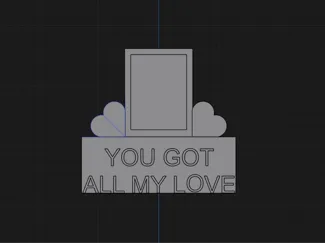 Polaroid Display