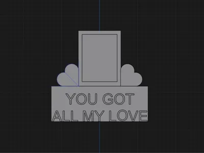 Polaroid Display