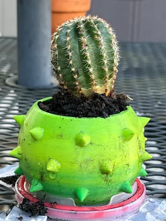 Cactus shaped planter