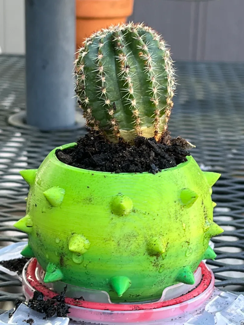 Cactus shaped planter