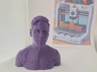0.2mm layer, 2 walls, 8% infill