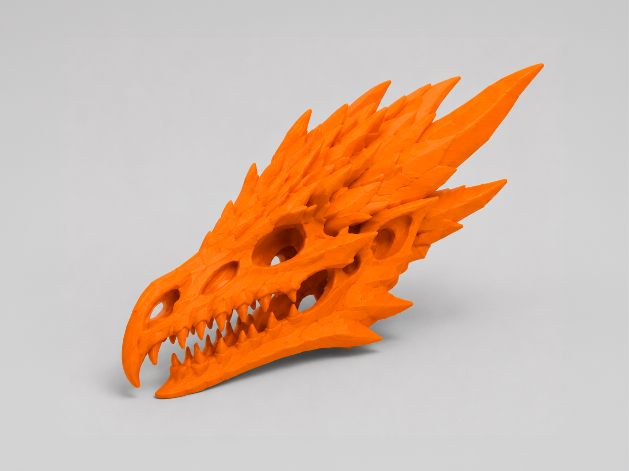 Dragon Skull Fossil | Fantasy