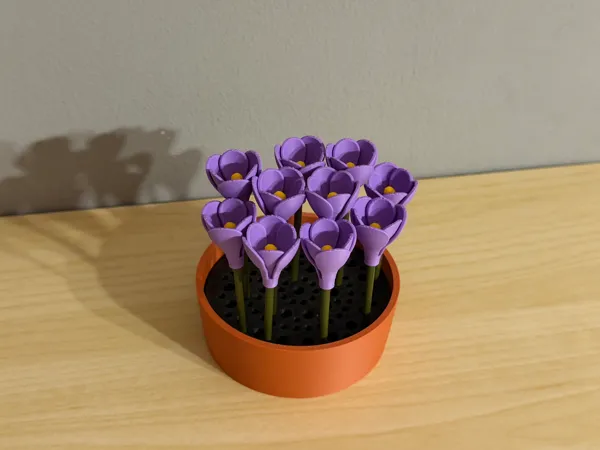https://makerworld.bblmw.com/makerworld/model/USe60770bd13377b/design/2025-11-22_eac54a3b0ddec.jpg