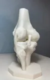 SCALE: 80% (Monocolor)