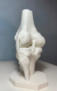 SCALE: 80% (Monocolor)