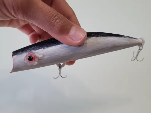 https://makerworld.bblmw.com/makerworld/model/USe60f6e5084ac06/design/2024-08-20_330db94a3f747.jpg