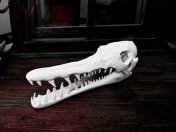 https://makerworld.bblmw.com/makerworld/model/USe6106b08172d23/design/2025-04-01_a7b4c43b32e7f.jpg