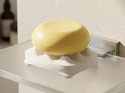 Long Life Soap Dish