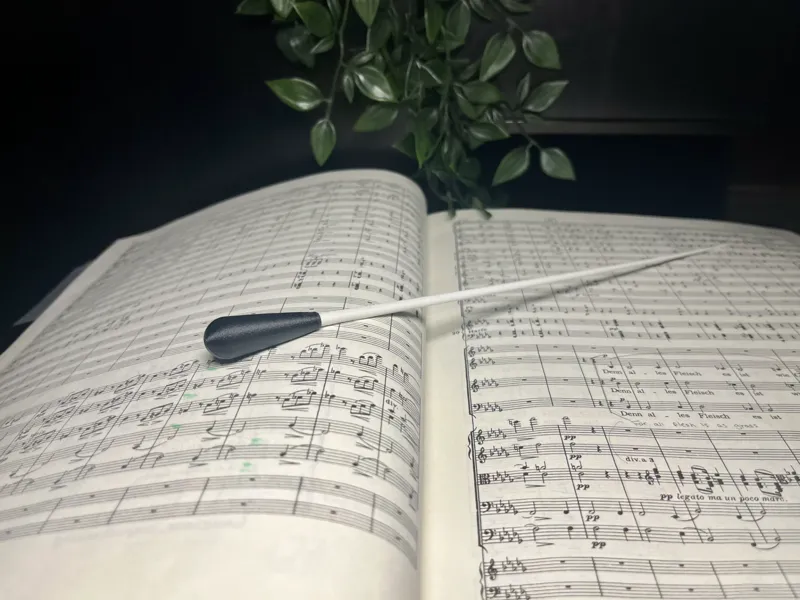 Conducting Baton