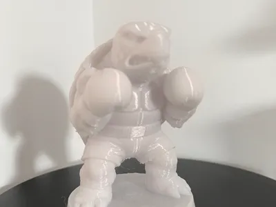 Boxing Turtle