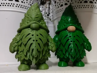 Monstera Gnome