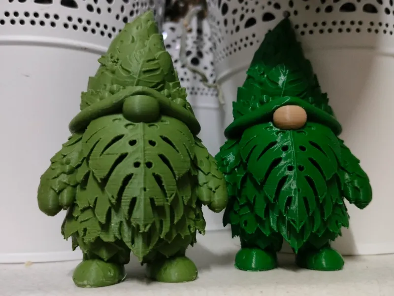 Monstera Gnome