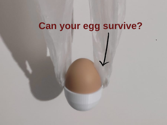 Mission: Eggpossible – Safe Landing Protocol