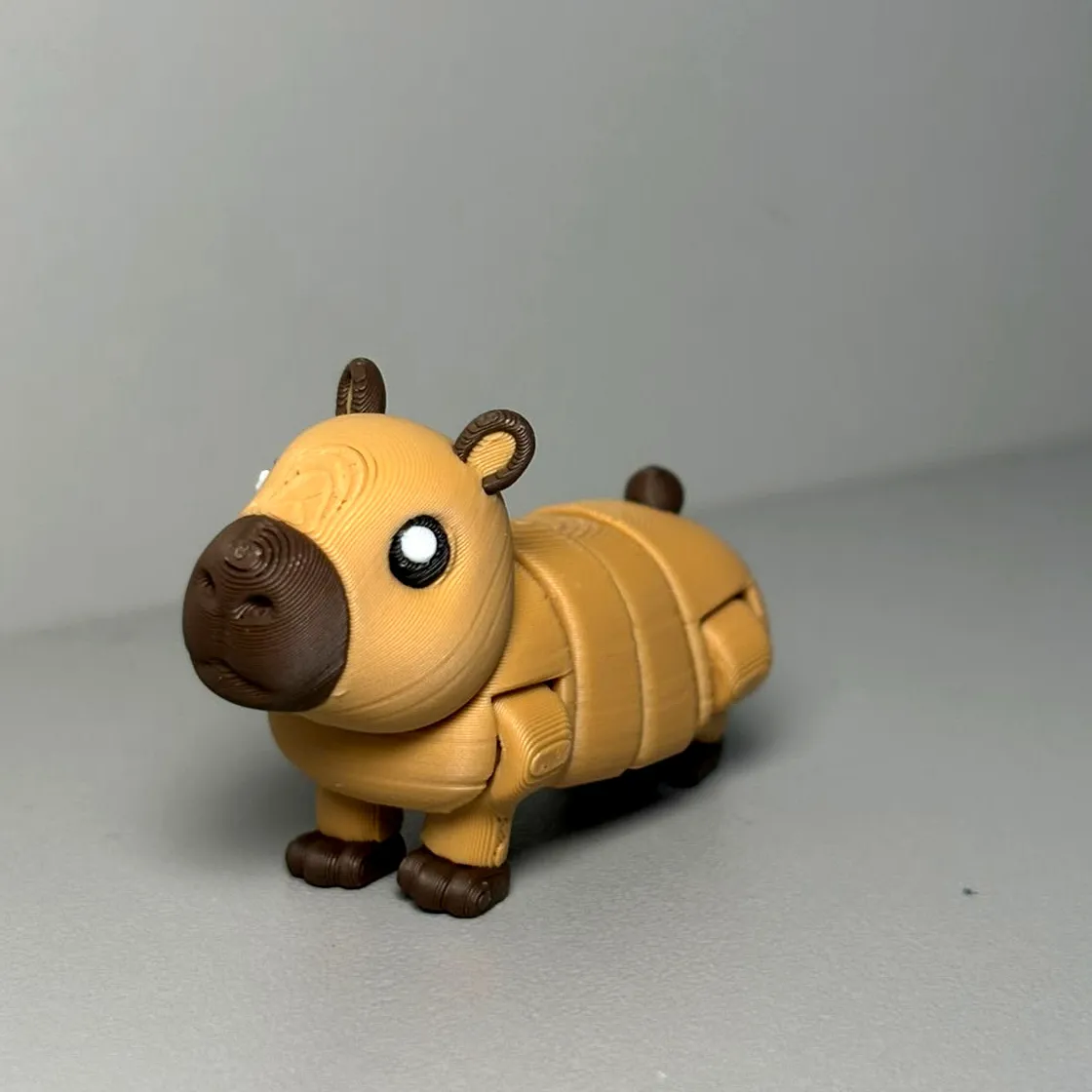 Flexi Capybara Duo - Long & Regular view 4
