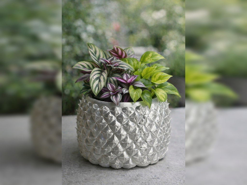 VASO ANANAS