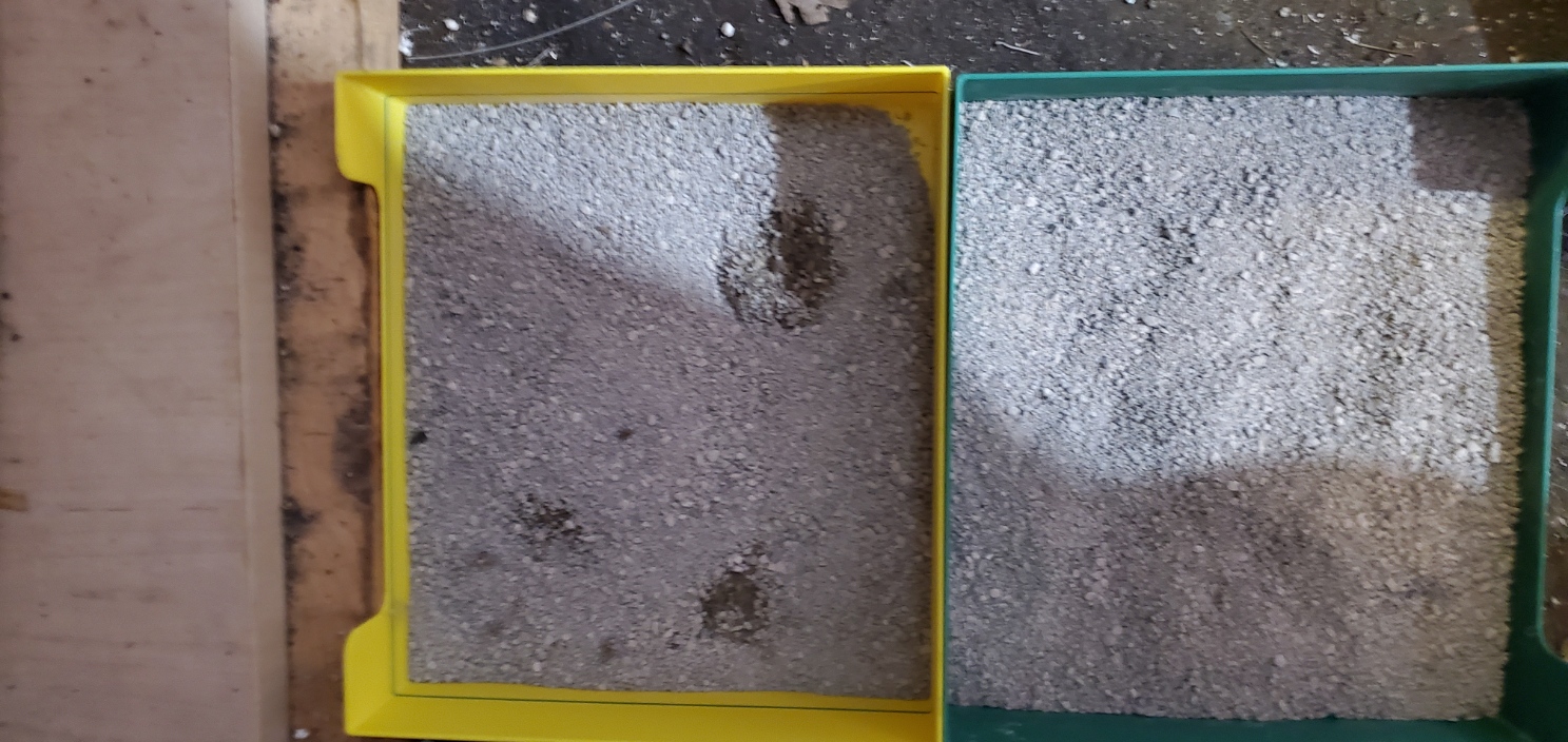 Miniatura 2 do modelo 3D Kitten litter box
