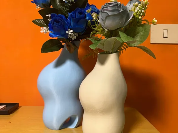 https://makerworld.bblmw.com/makerworld/model/USe63bd14132e0e6/design/2025-08-26_b8d94055761098.jpeg